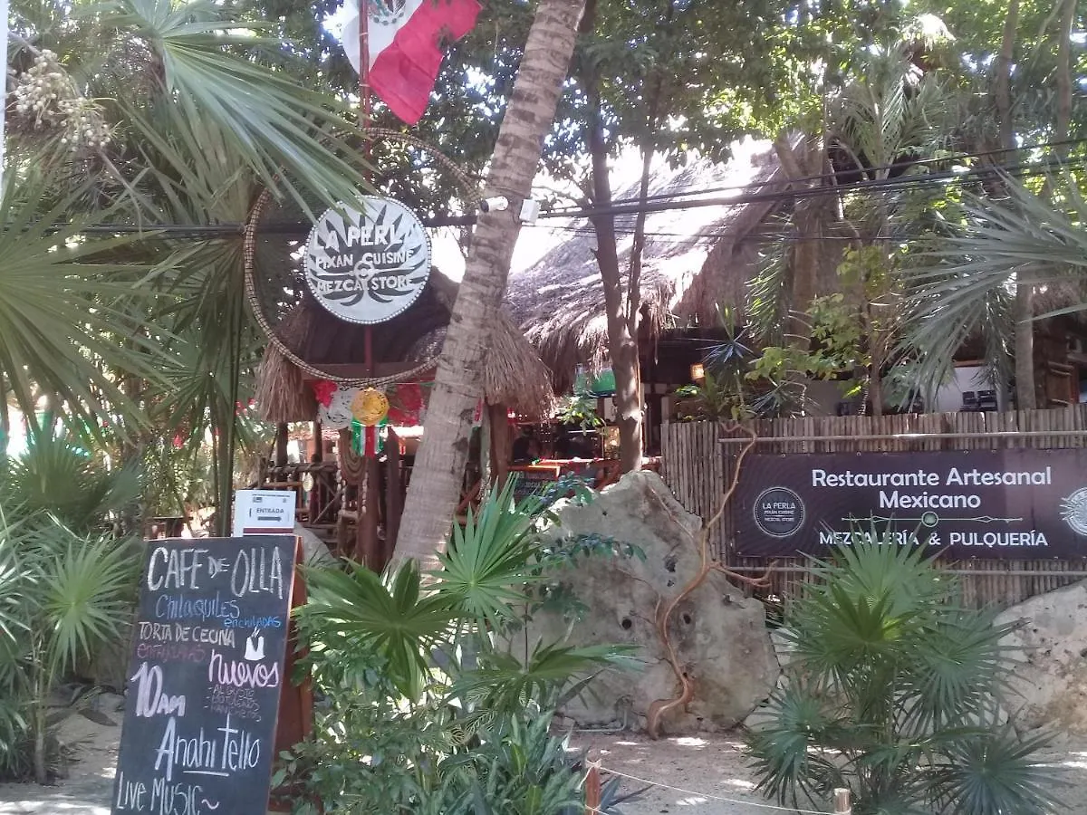 Caribbean Vibes Studio - Cerca De 5Ta Av Y Playa Playa del Carmen Appartamento